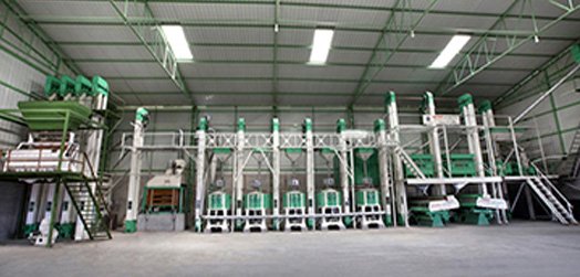 Automatic Rice Mill Plant
