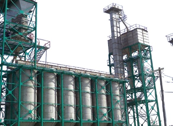 Paddy Steaming Plant