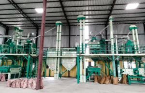 Maize Grit Making Machine With Vibro Cleaner