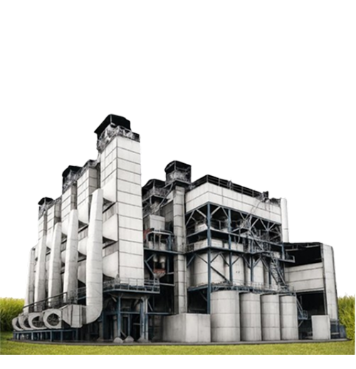 Paddy Parboiling Plant