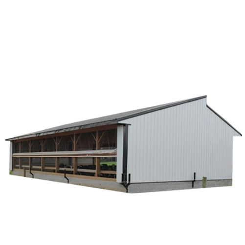 Poultry Shed